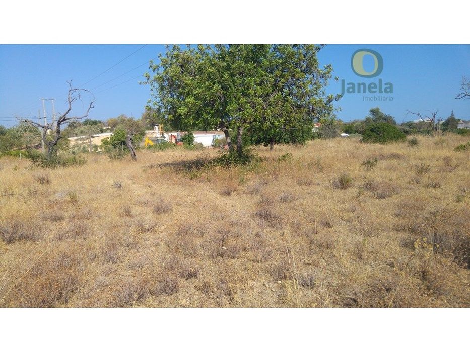 Terreno com 12000 m2, com água, eletricidade e esgotos