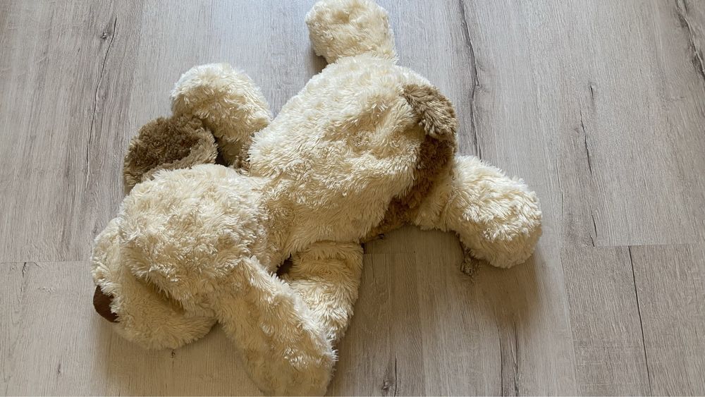 Мʼякі іграшки попіти