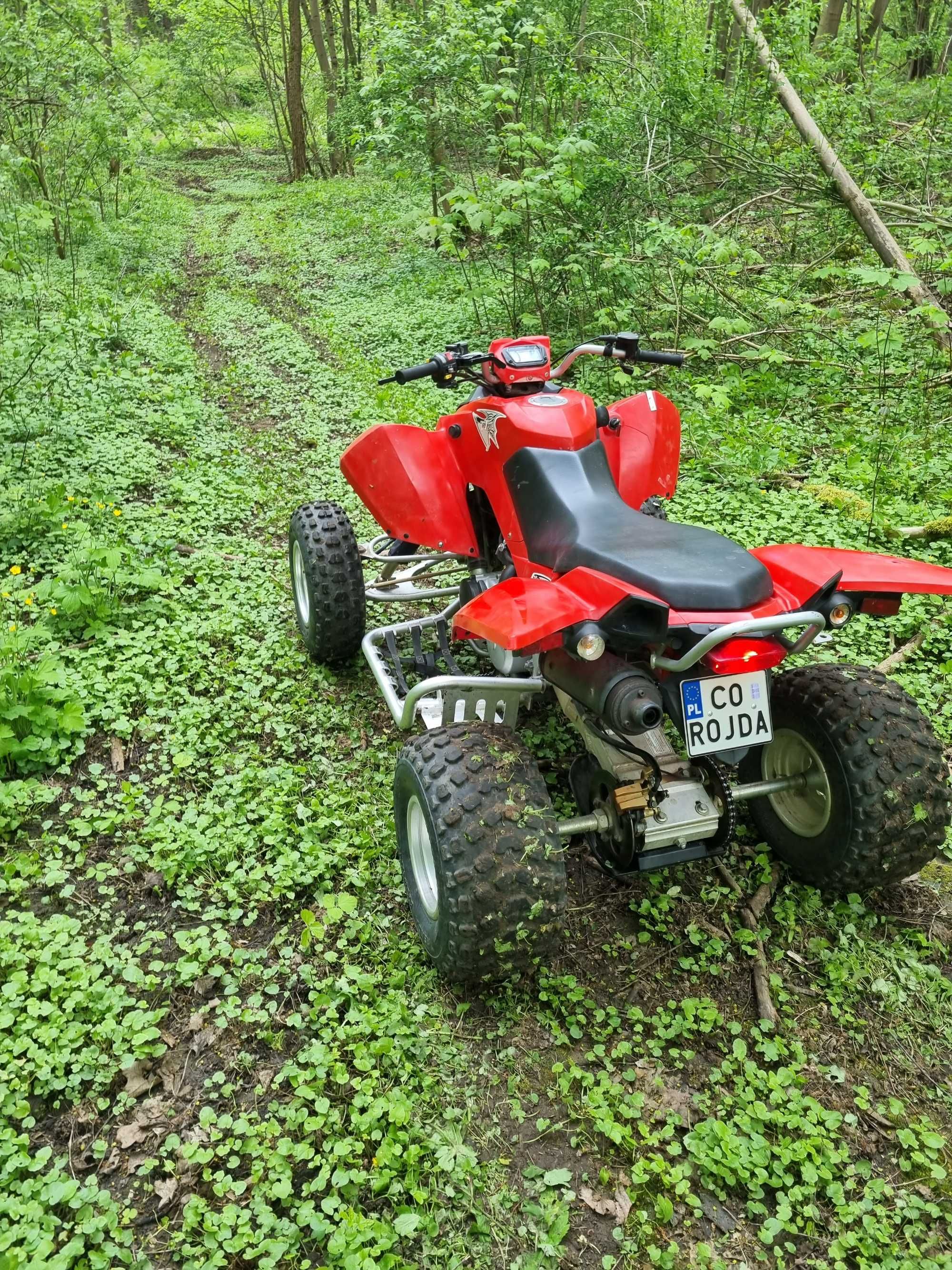 Quad Triton baja 300