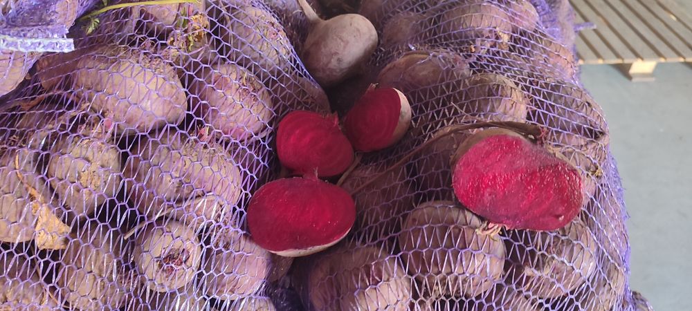 Продам буряк (також є морква, капуста, картопля)