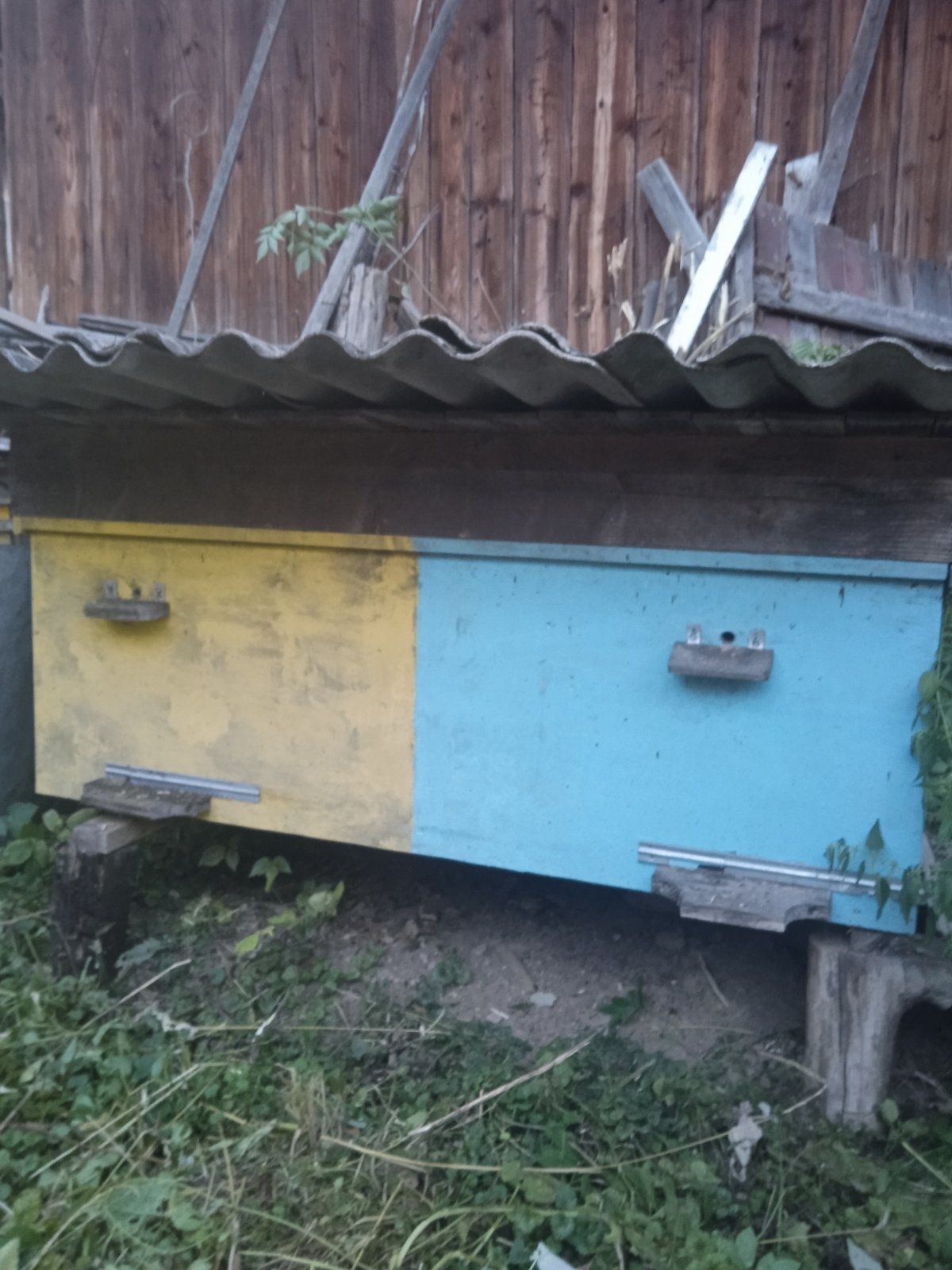 Вулики для бджіл