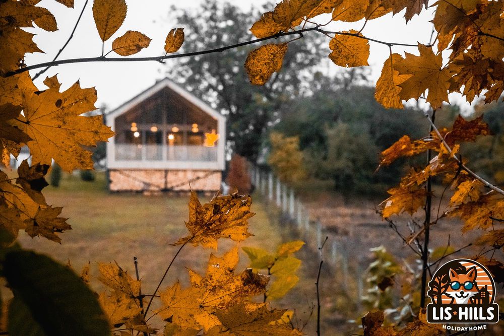 Шале з Басейном та Чаном! Будинок Софіївка дом посуточно  подобово