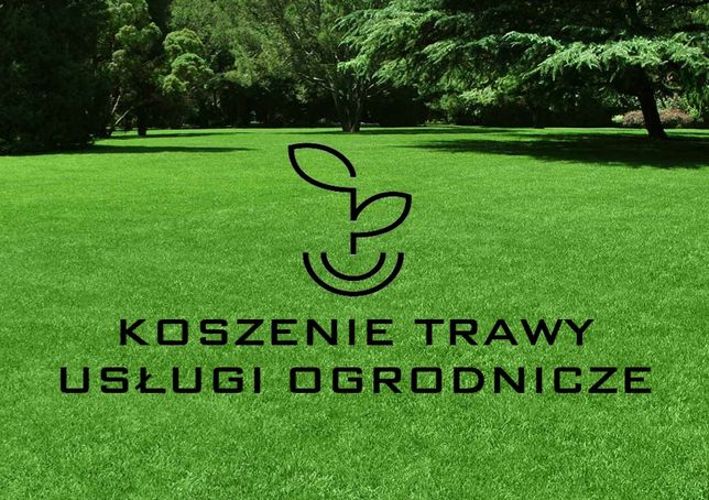 Usługi ogrodnicze / Zakładanie trawnika / Koszenie trawy