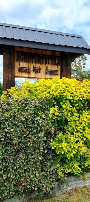 Domek całoroczny 7 osobowy, agroturystyka