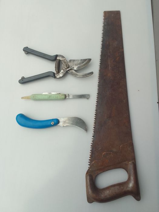 Садовий інструмент.