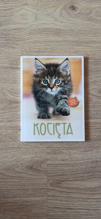 Kocięta - poradnik