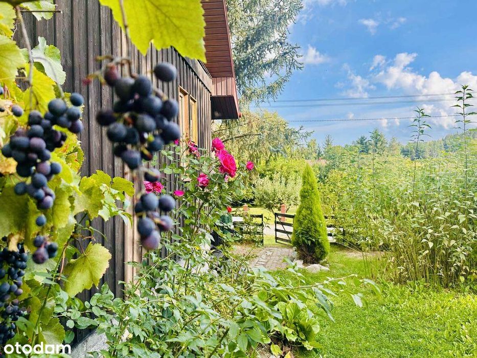 Poczuj dobrą energię płynącą ze Ślęży DOM 80 mkw