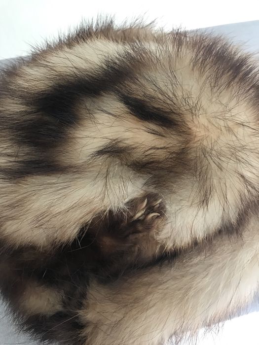 Czapka z lisa damska