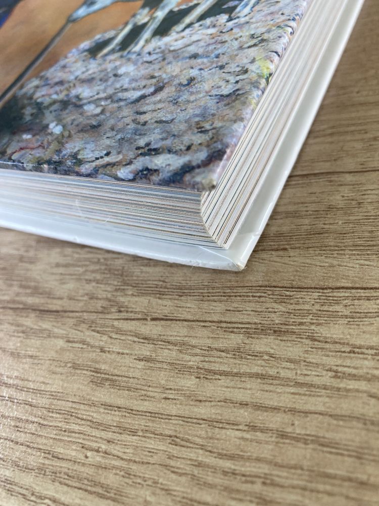 Ilustrowana Biblia dla dzieci wyd.Św. Paweł