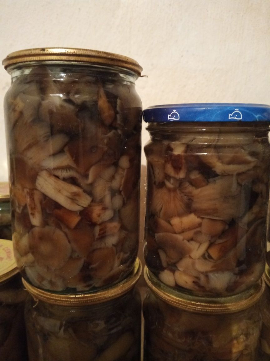 Маринованные грибы , опята и маслята