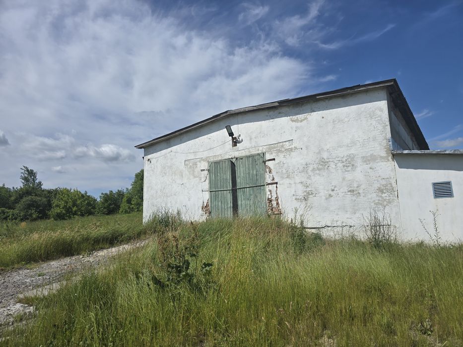 Цех виробництво шпону