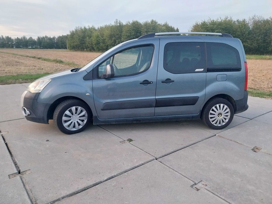 Citroen Berlingo 2009