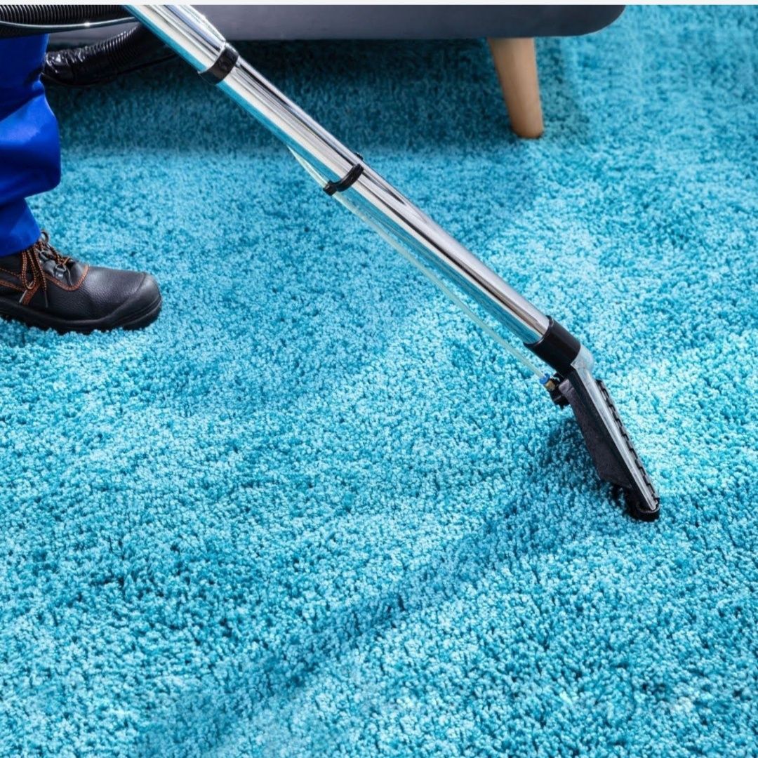 Limpeza de carpetes, colchões, poltronas etc.