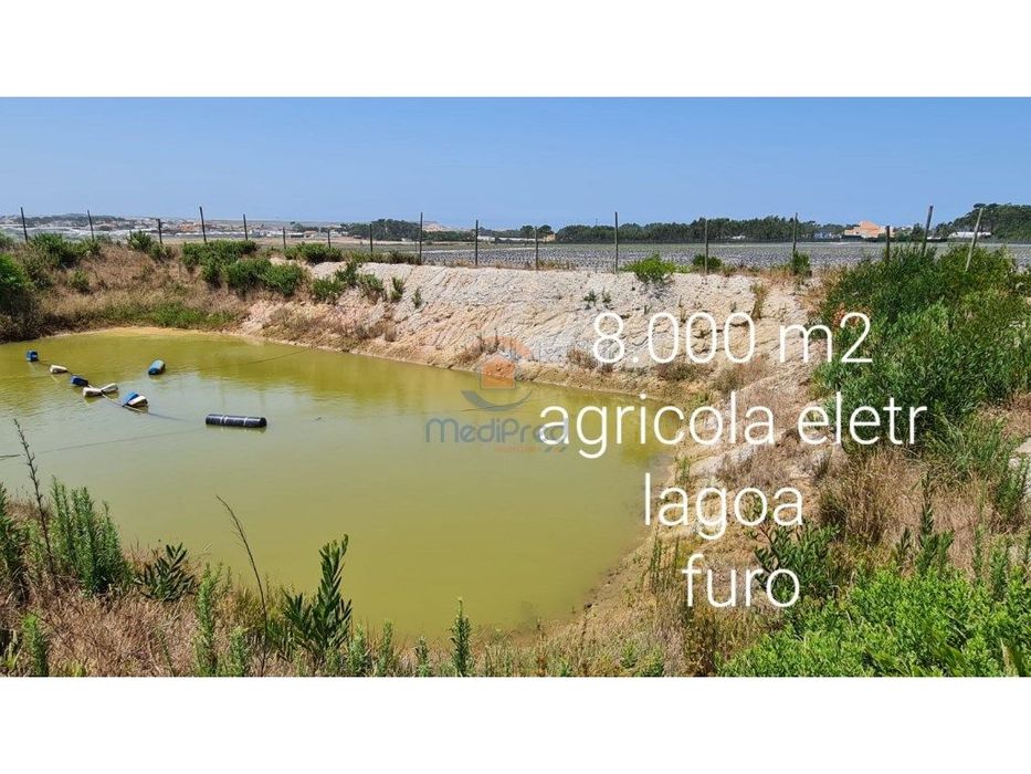 Terreno Agrícola 9.000 m2 | Santa Cruz, Torres Vedras