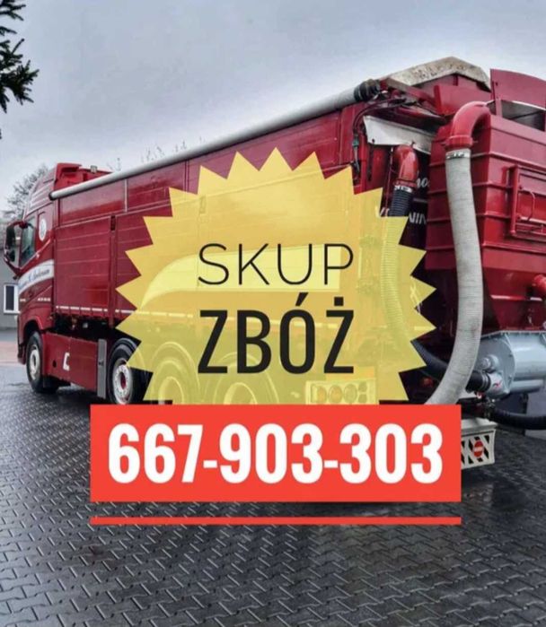 Skup zbóż, skup zboża, Jęczmień Pszenica pszenżyto żyto owies - pompą