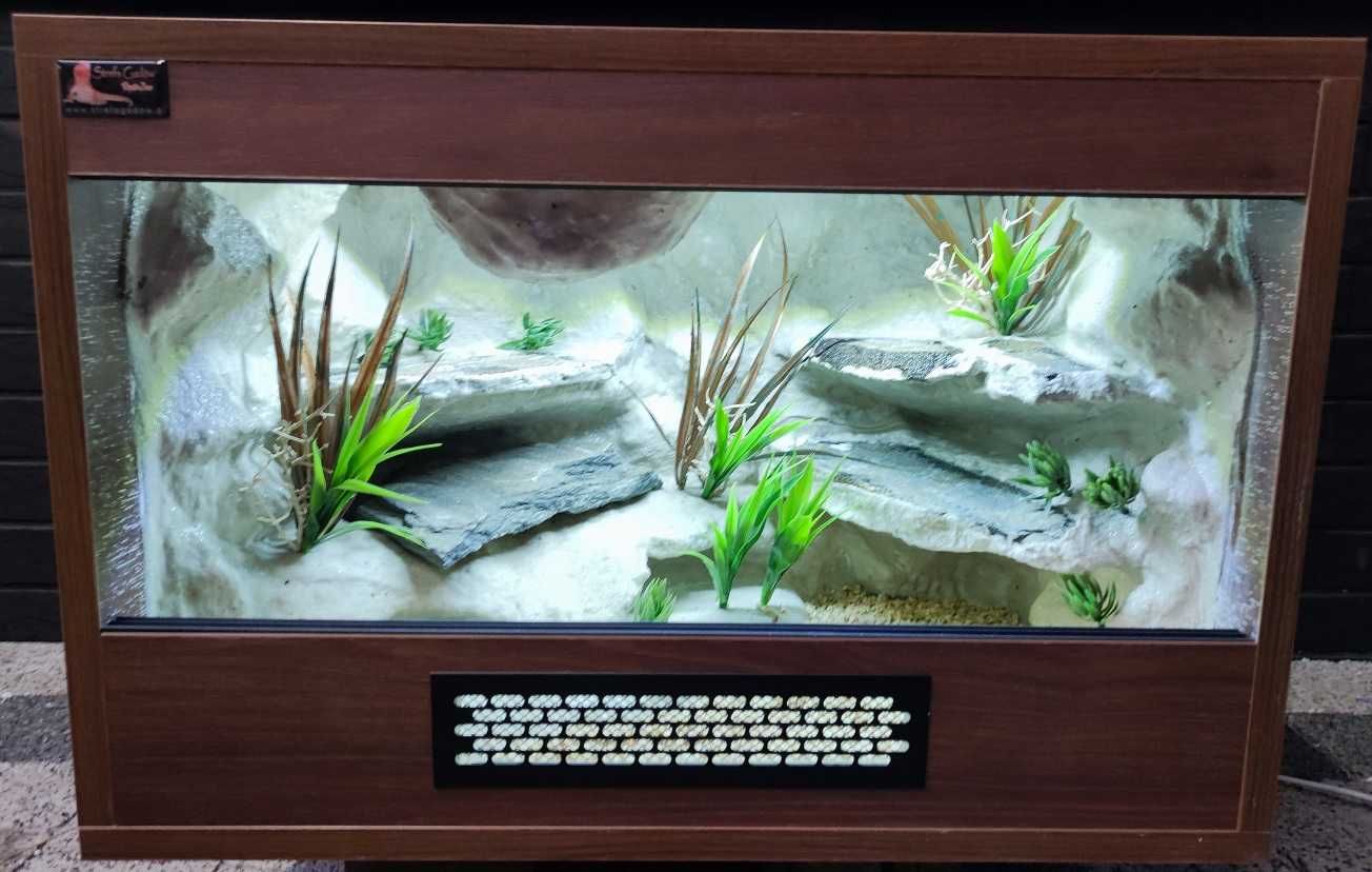 Terrarium pustynne nr528 60/40/40 dla gekona lamparciego NA ZAMÓWIENIE