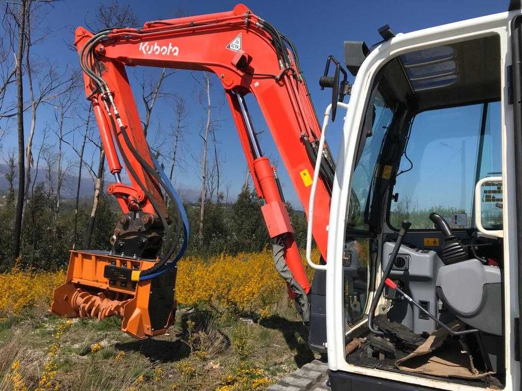 Corta mato/ destroçador Florestal com martelos fixos