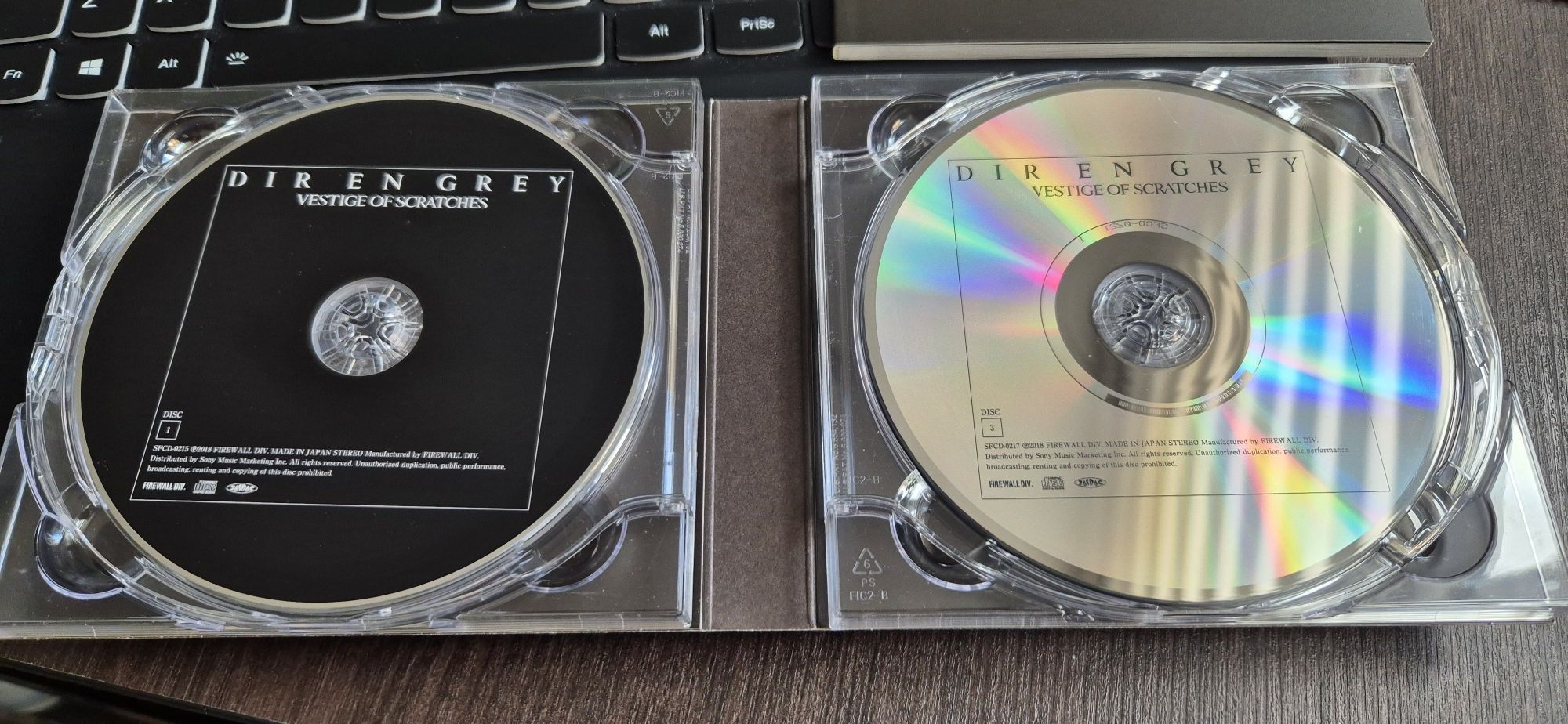 DIR EN GREY / Vestige of Scratches / jrock visual kei / Kyo sukekiyo