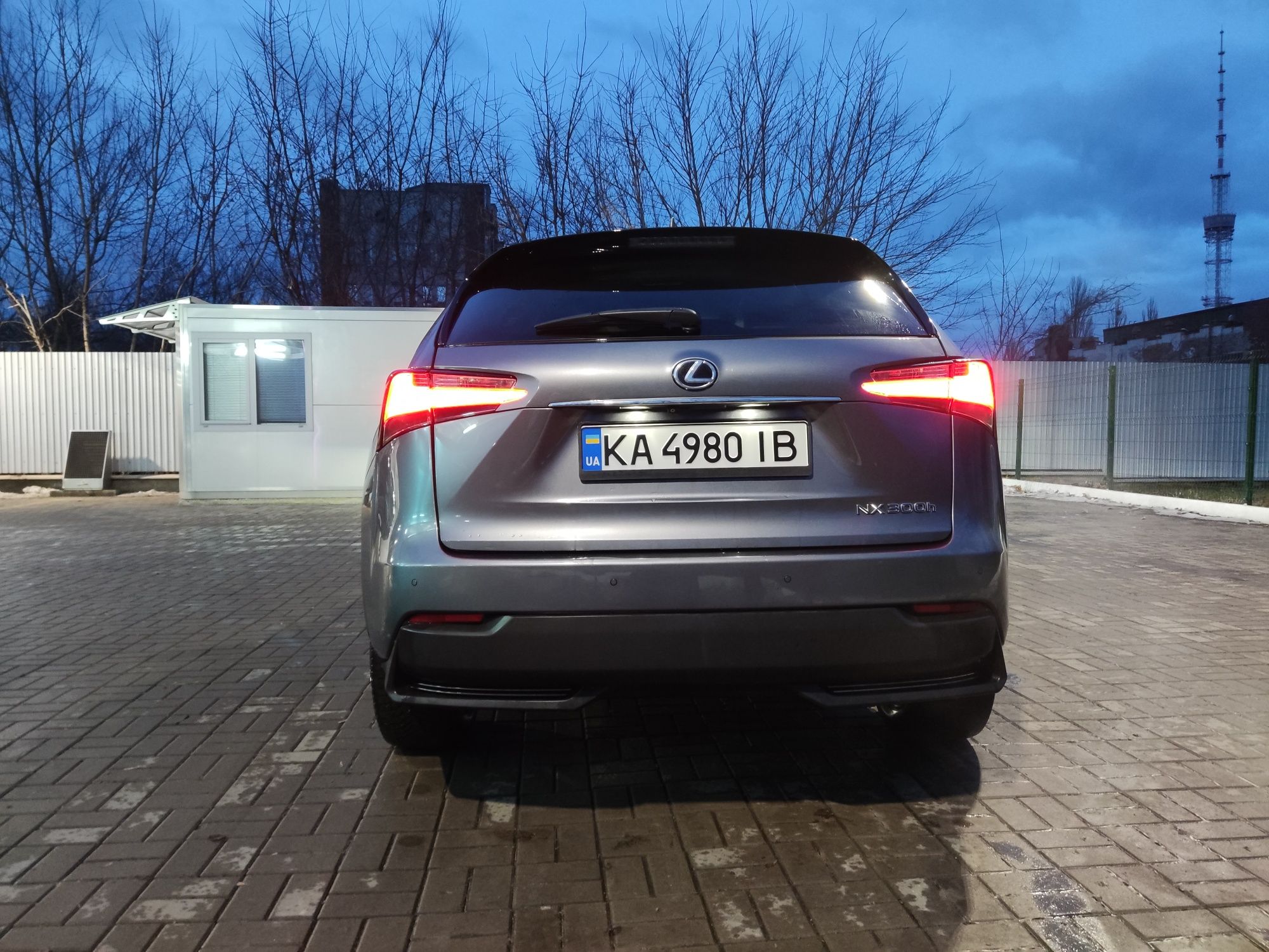 Гібридний Lexus NX 300h