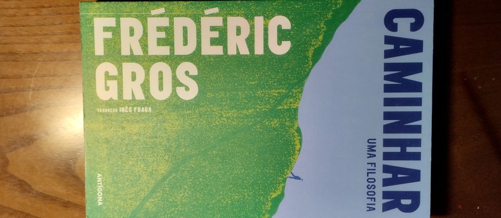Caminhar: Uma Filosofia - Frédéric Gros
