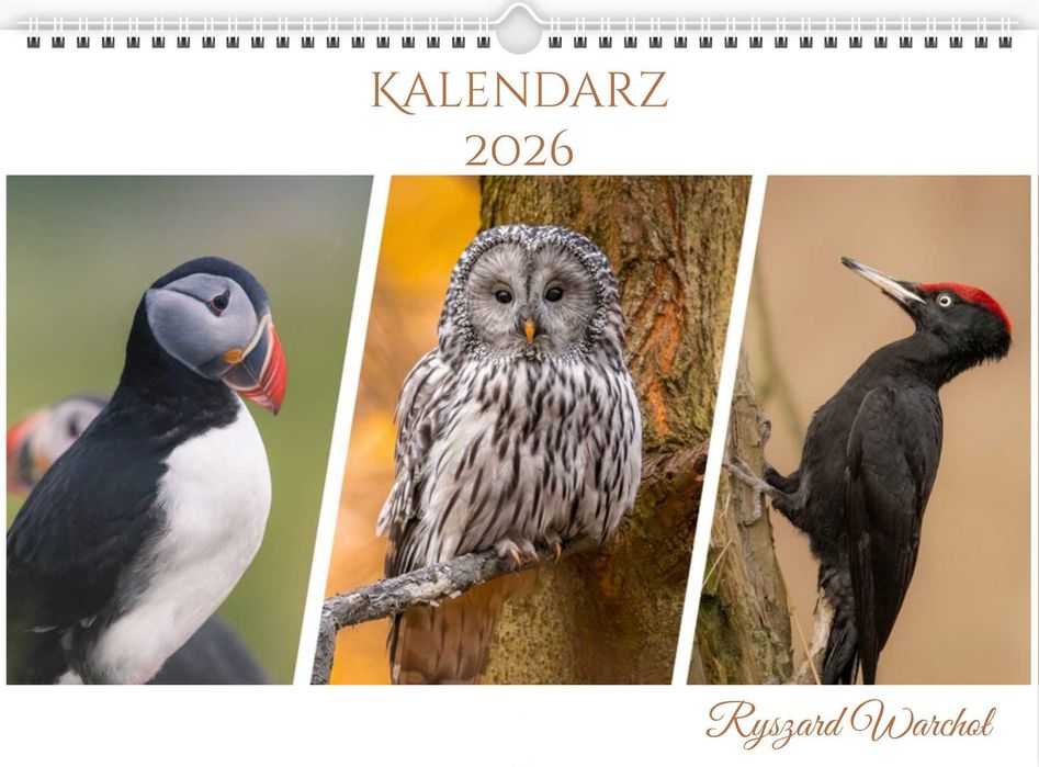 Kalendarz 2026 Ptaki format A3 poziomy