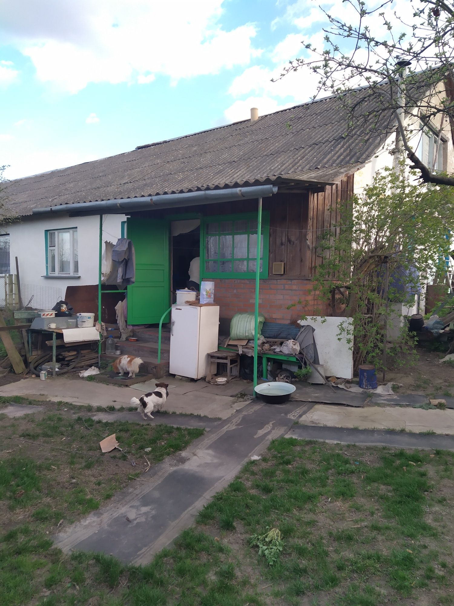 Продам будинок в с.Діброва