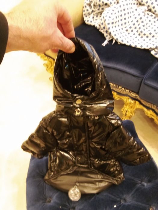 Продам куртку для собаки маленьких пород
