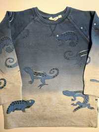 Bluza kappahl w kameleony 110-116