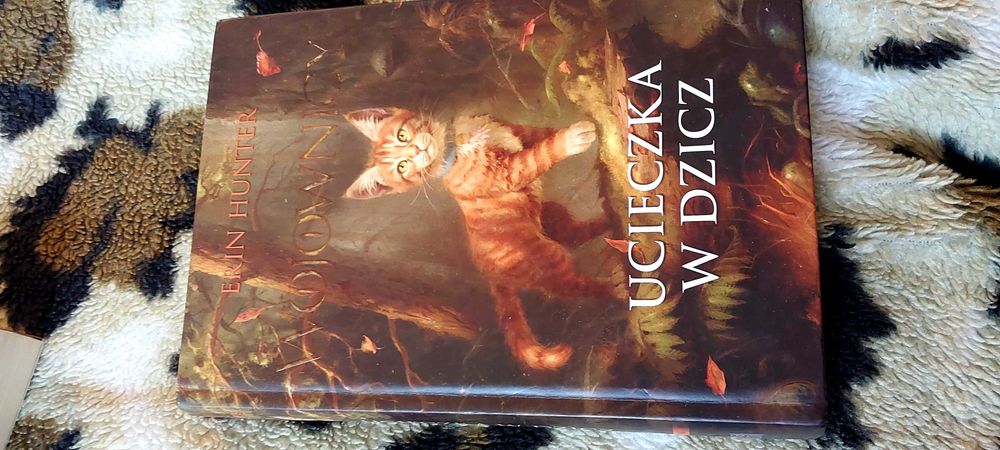 Książka dla młodych