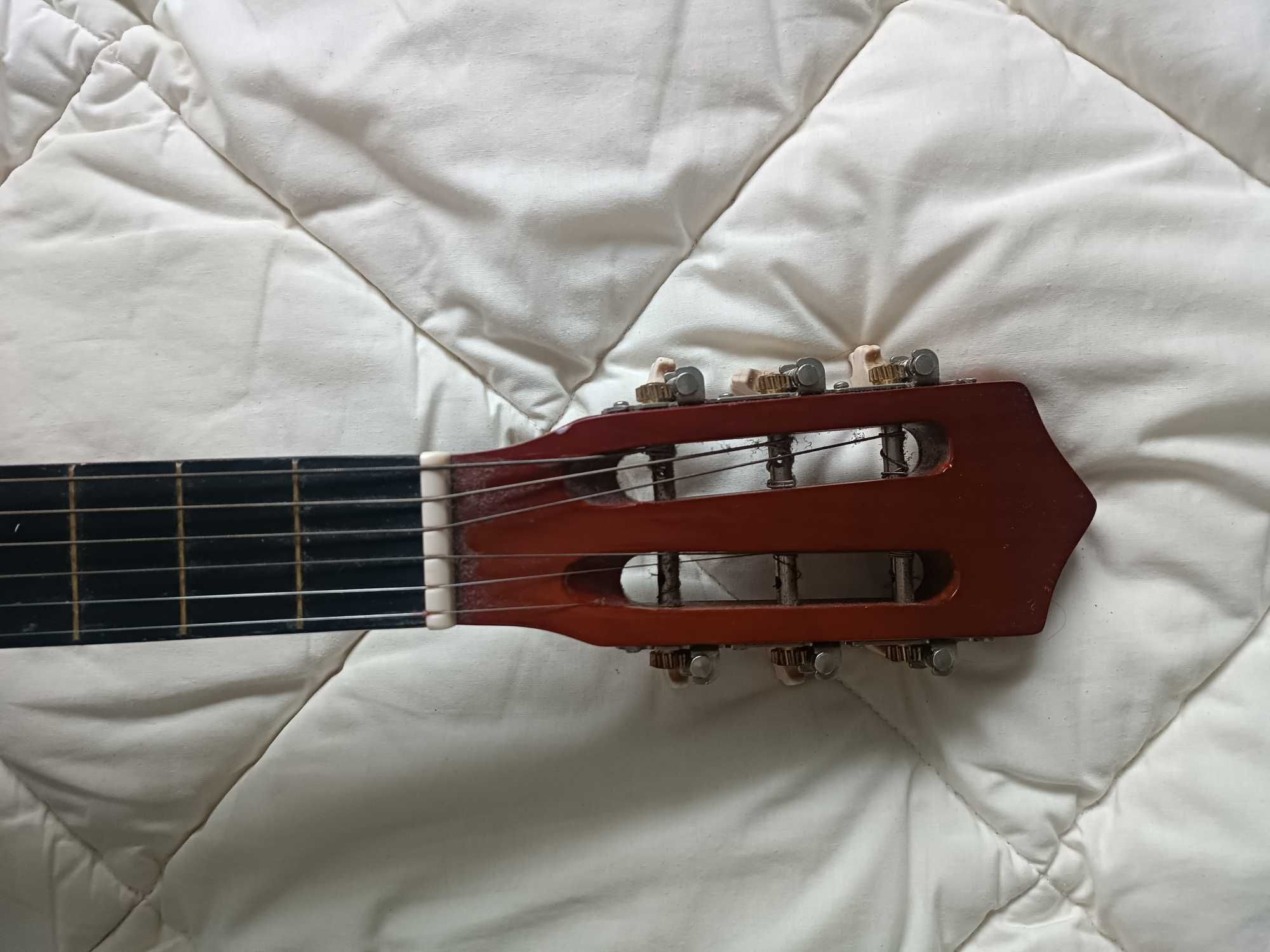 Viola/Guitarra nova