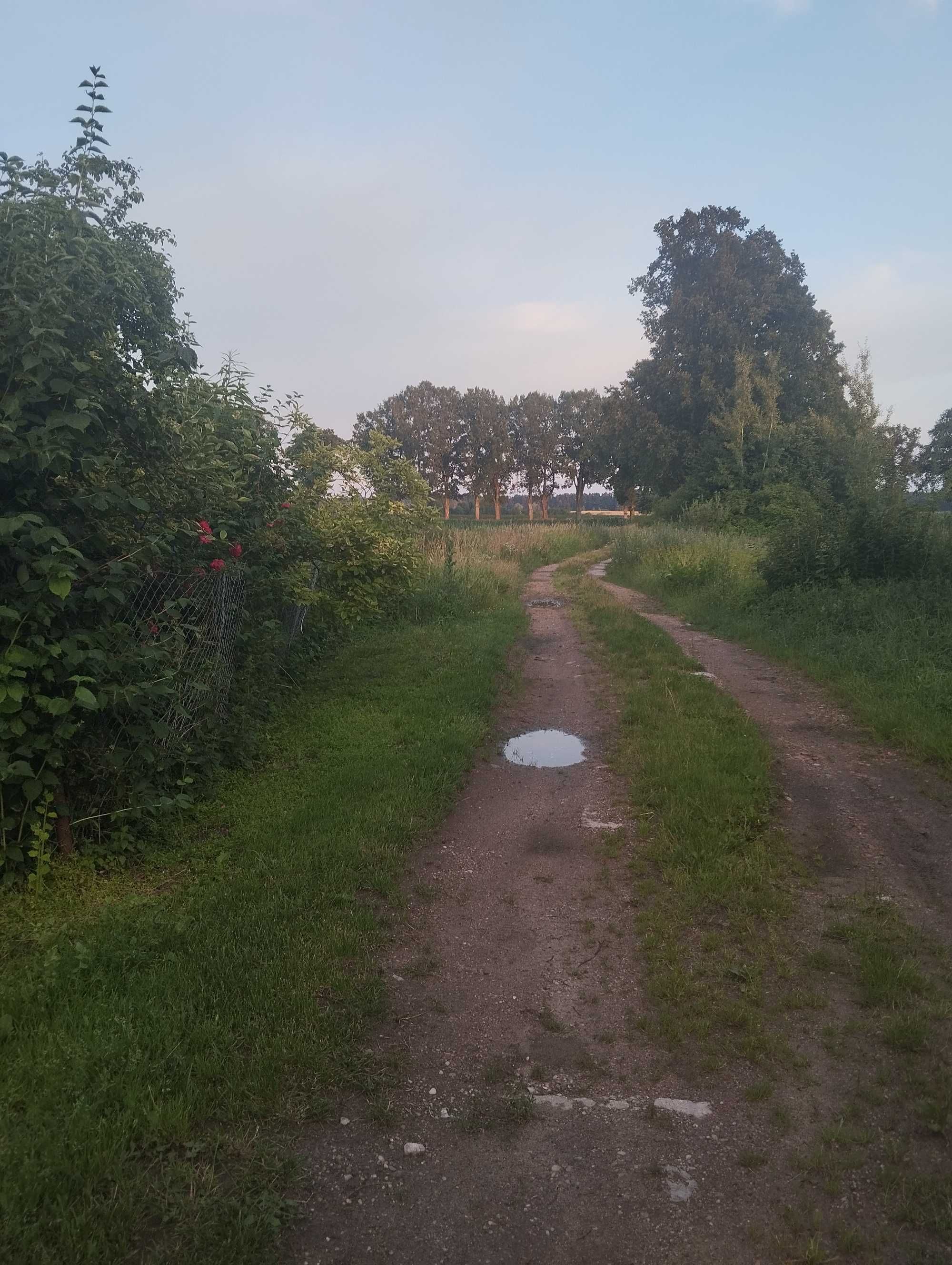 Pół domu z działką
