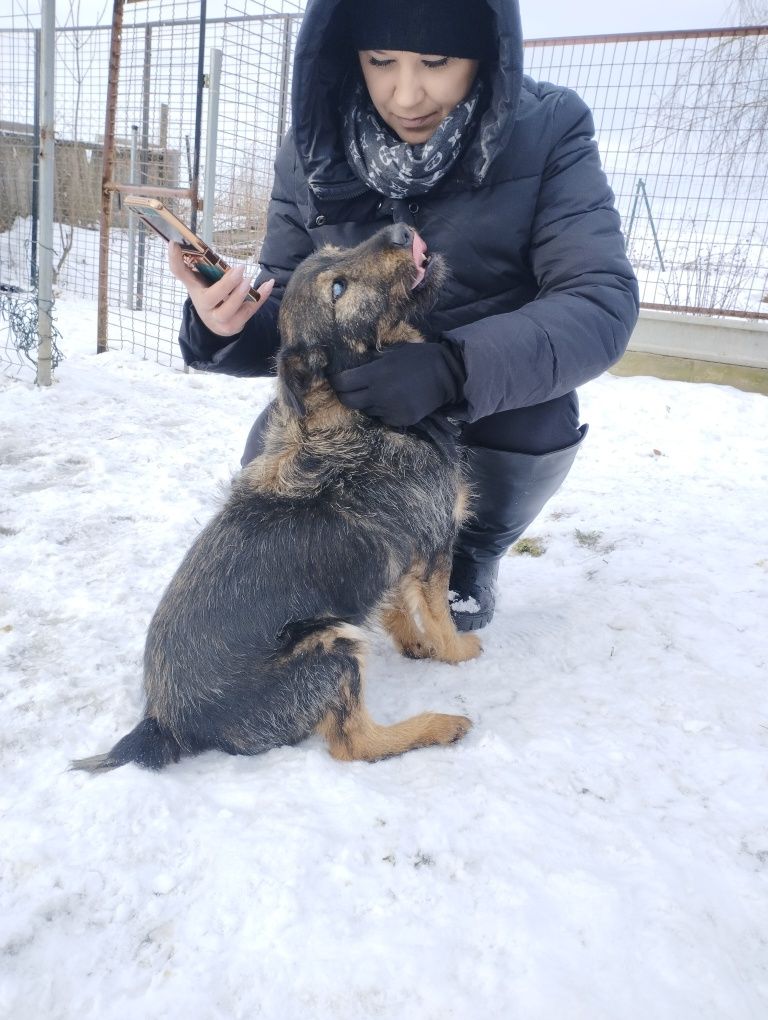 Czy niewidomy pies ma szansę być kochanym