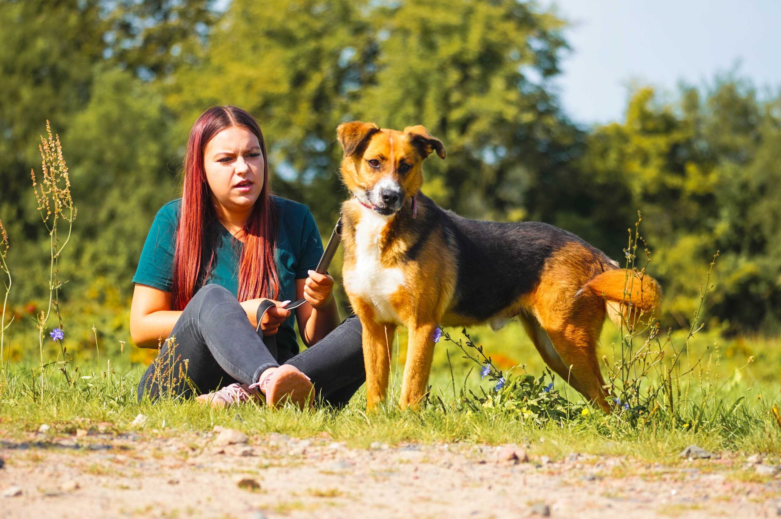 Wox Spokojny Czarujący Psiak