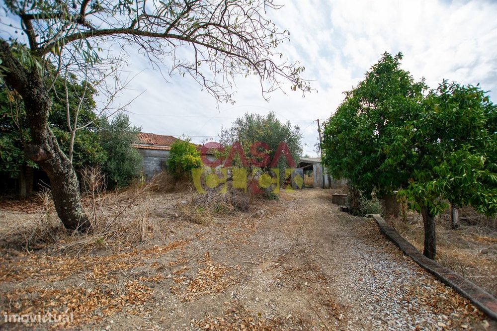 Terreno Para Construção T3 Venda em Olaia e Paço,Torres Novas