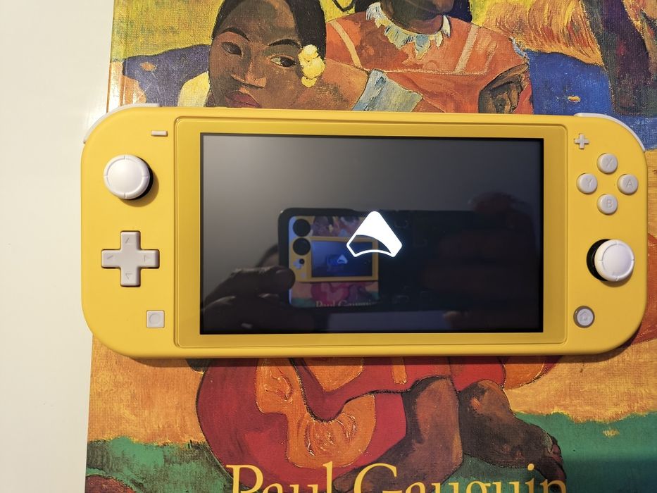 Nintendo Switch Lite desbloqueada