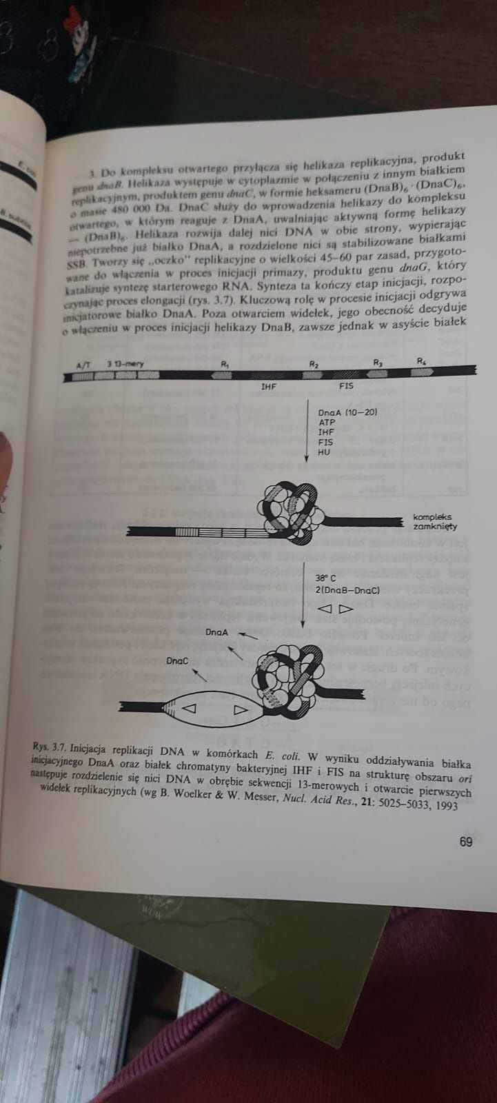 Genetyka Molekularna Piotr Węgleński