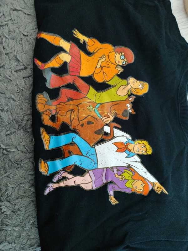 Koszulka Scooby-Doo
