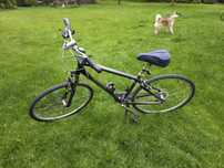 Rower trekkingowy Giant  Cypress DX