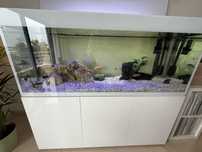 Aquario Aquael Gloss 150
