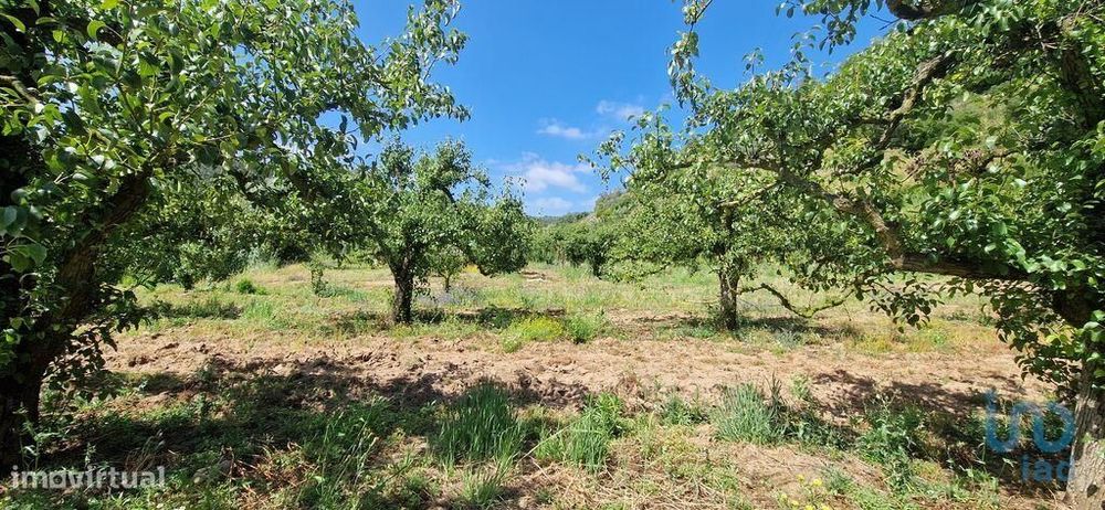 Terreno em Azueira e Sobral da Abelheira de 7812,00 m2