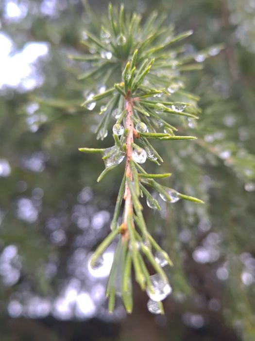 Historia-wiedza o społeczeństwie, korepetycje, przygotowanie do matur