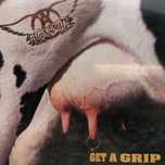 cd - aerosmith - get a grip