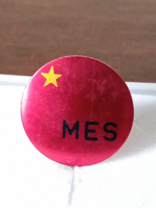 Pin do Movimento de Esquerda Socialista (MES)