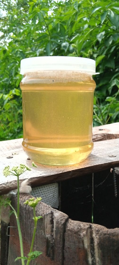мед  натуральний з власної пасіки