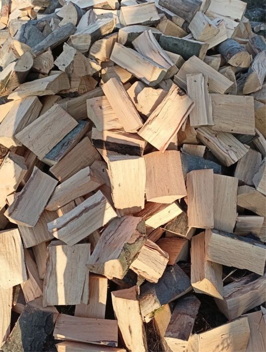 drzewo opałowe / kominkowe BUK I SOSNA