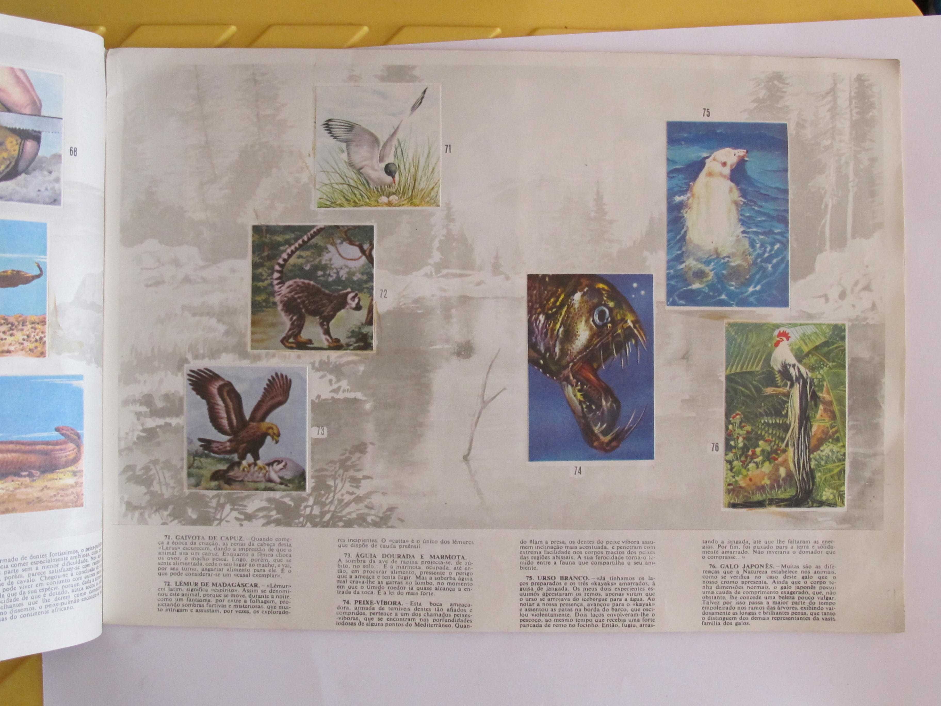 caderneta completa - Segredos do Mundo Animal, APR, 1970