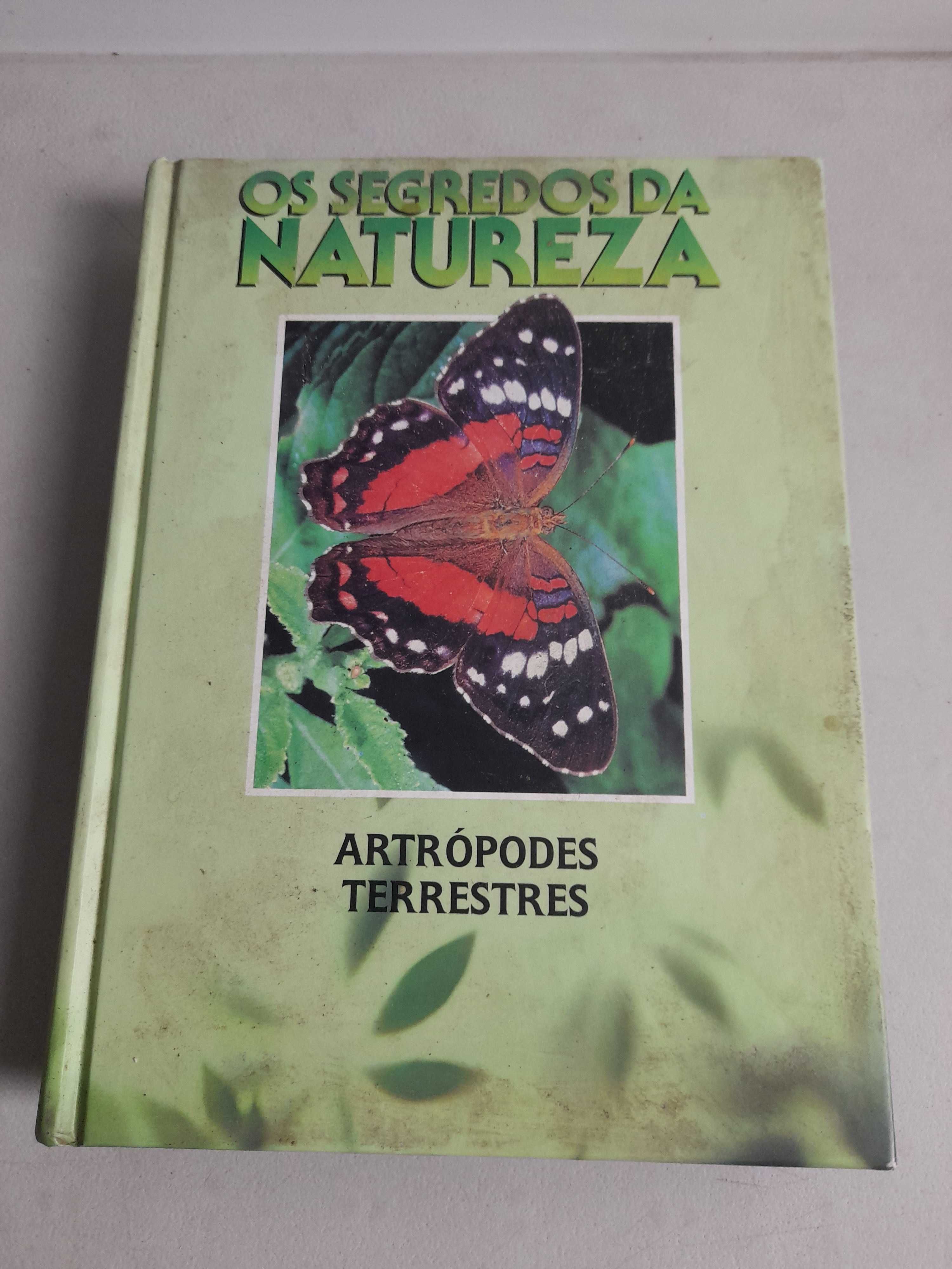 Livro PA-2 -os segredos da natureza/artrópodes terrestres