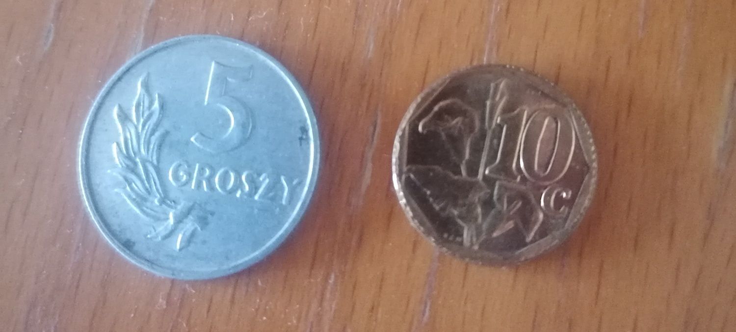 Dwie monety 5 groszy 1949 i 10c Afrika iningizimu