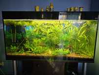 Akwarium AQUAEL 275l