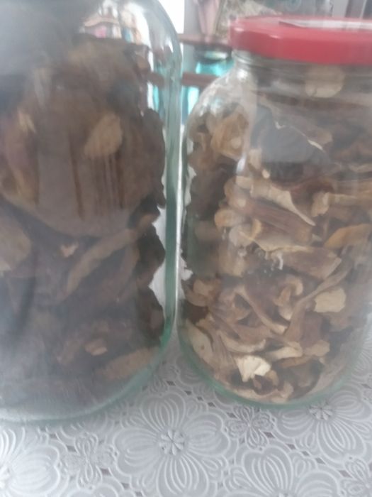 Grzyby suszone prawdziwki,odgrzybki i maślaki